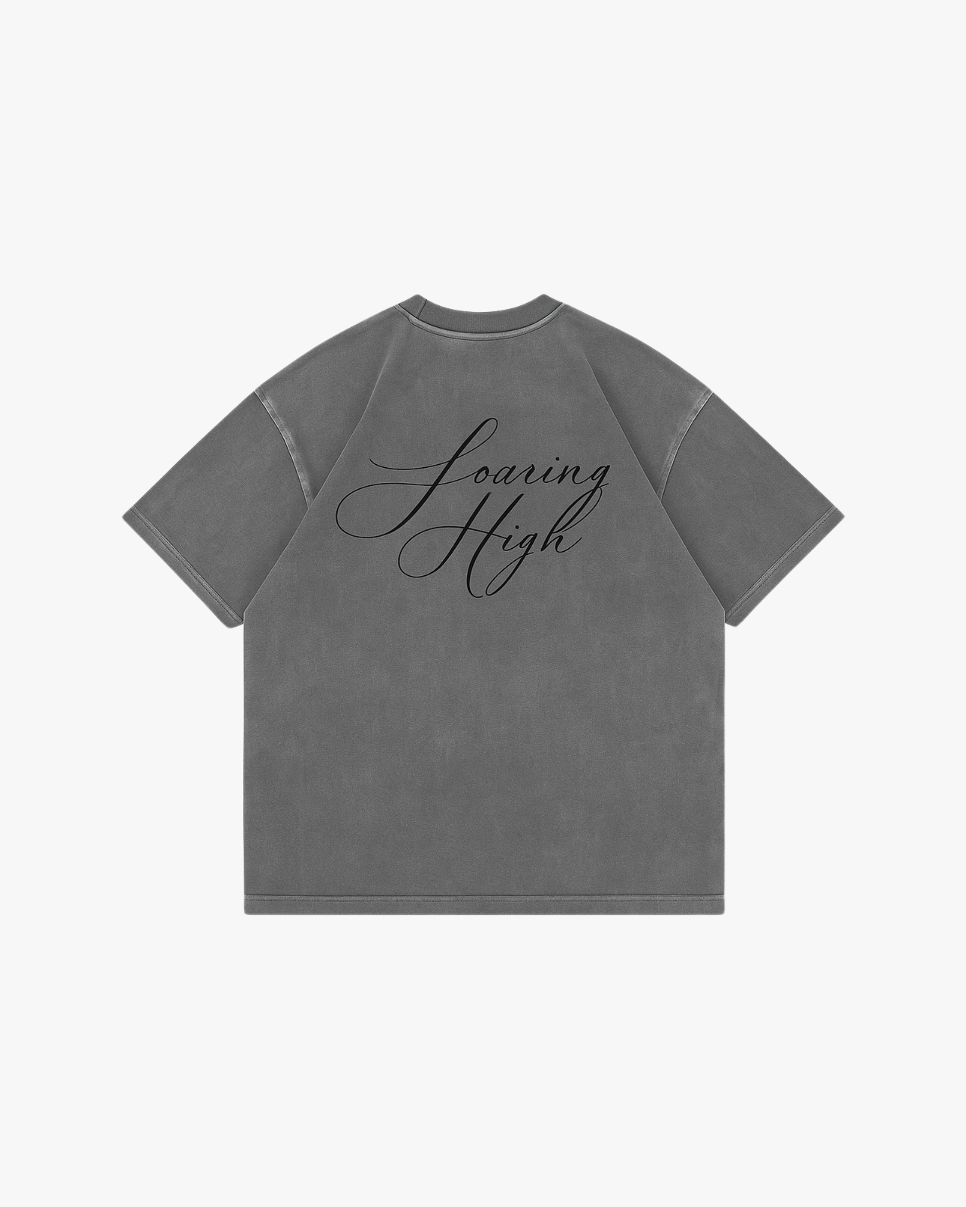 Falcon Graphic T-Shirt