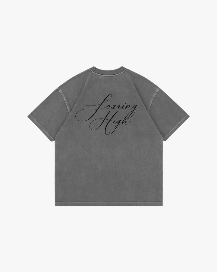 Falcon Graphic T-Shirt