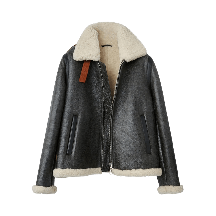 Acne Studios Shearling Lined Calf Leather Jacket 'Dark Brown'