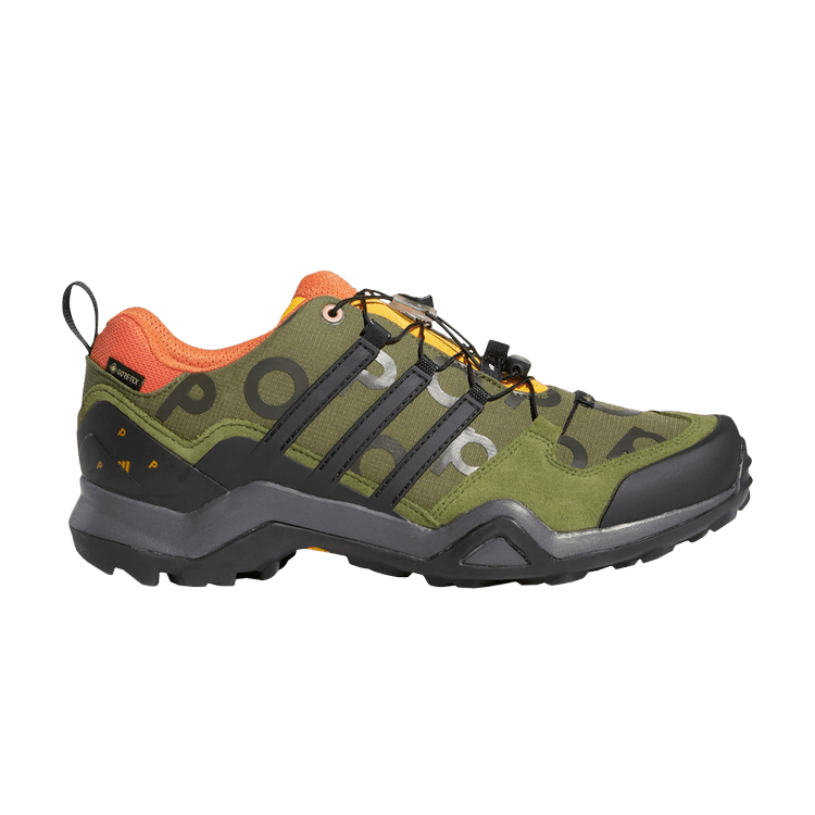Pop Trading Company x Terrex Swift R2 GORE-TEX 'Wild Pine'