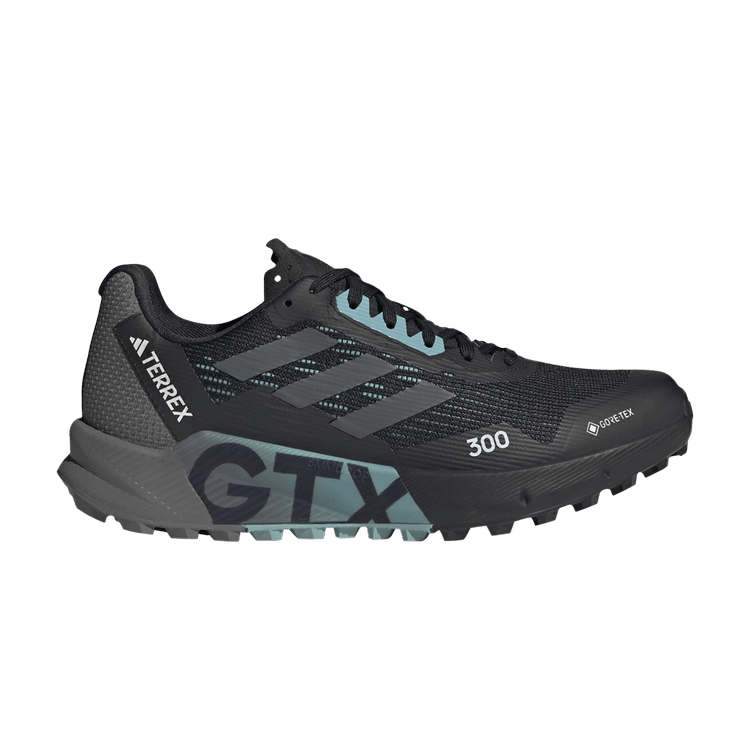 Wmns Terrex Agravic Flow 2.0 GORE-TEX 'Black Light Blue'