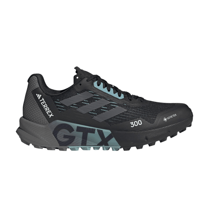 Wmns Terrex Agravic Flow 2.0 GORE-TEX 'Black Light Blue'