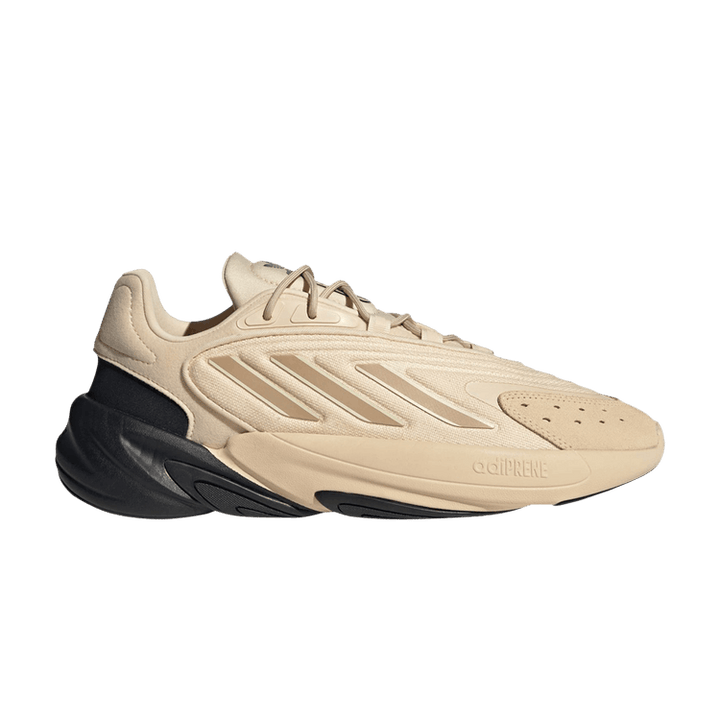 Ozelia 'Sand Strata Black'