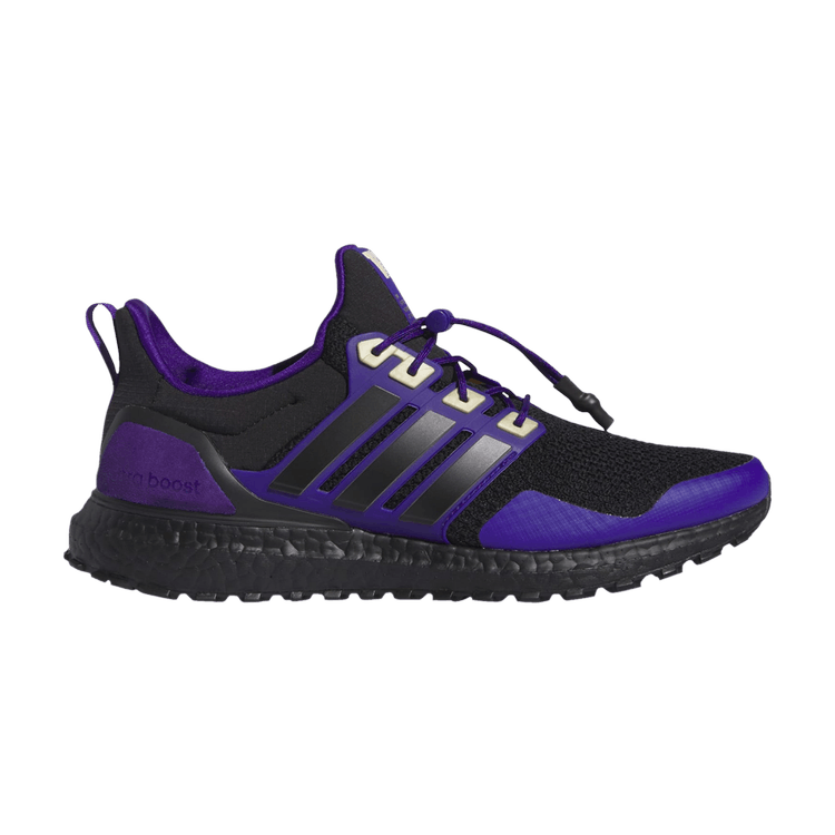 UltraBoost 1.0 'NCAA Pack - Washington'