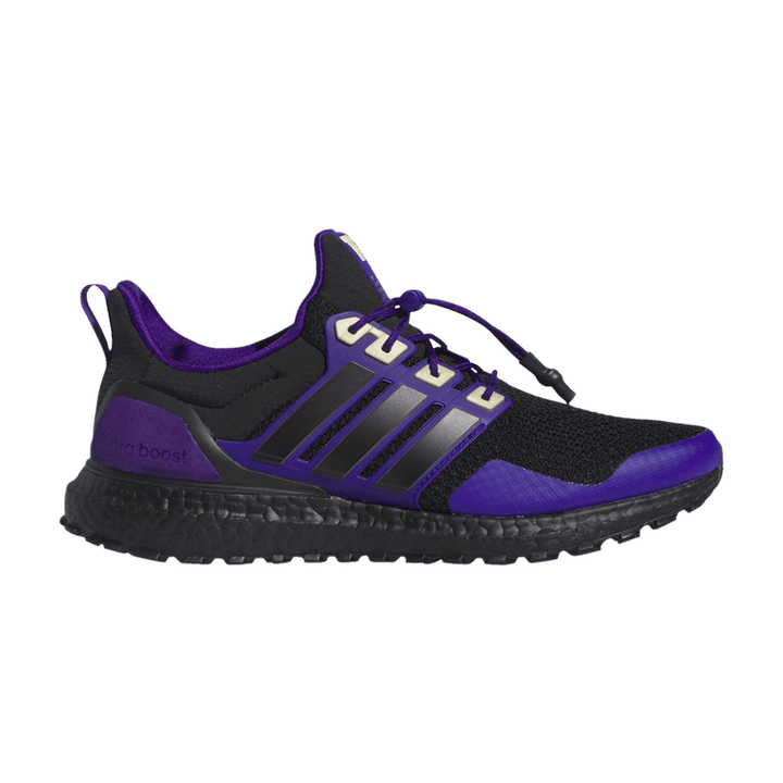UltraBoost 1.0 'NCAA Pack - Washington'